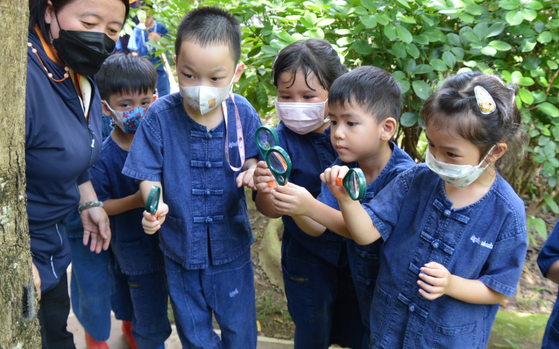 แว่นขยาย กิจกรรมในศูนย์เรียนรู้ธรรมชาติและสวนป่า อ.ด.ว.