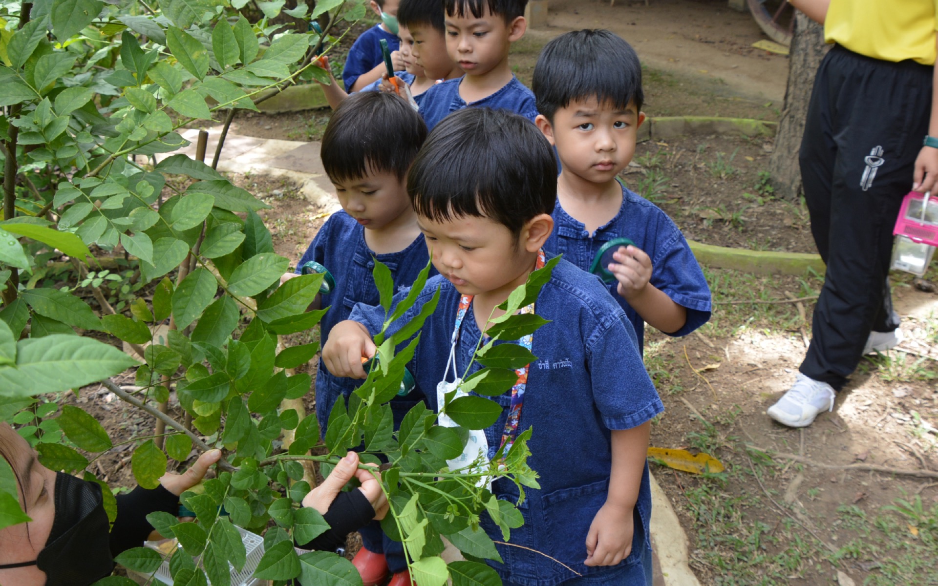 สำรวจพรรณไม้ กิจกรรมในศูนย์เรียนรู้ธรรมชาติและสวนป่า อ.ด.ว.
