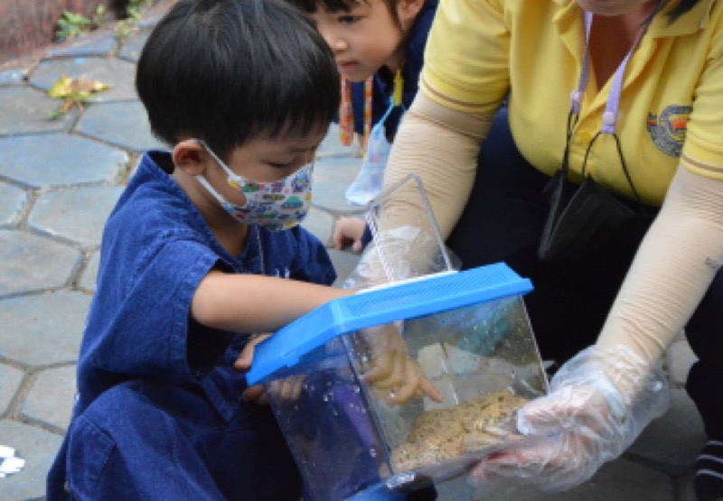 สัมผัสกบของจริงในสวนป่า อ.ด.ว.