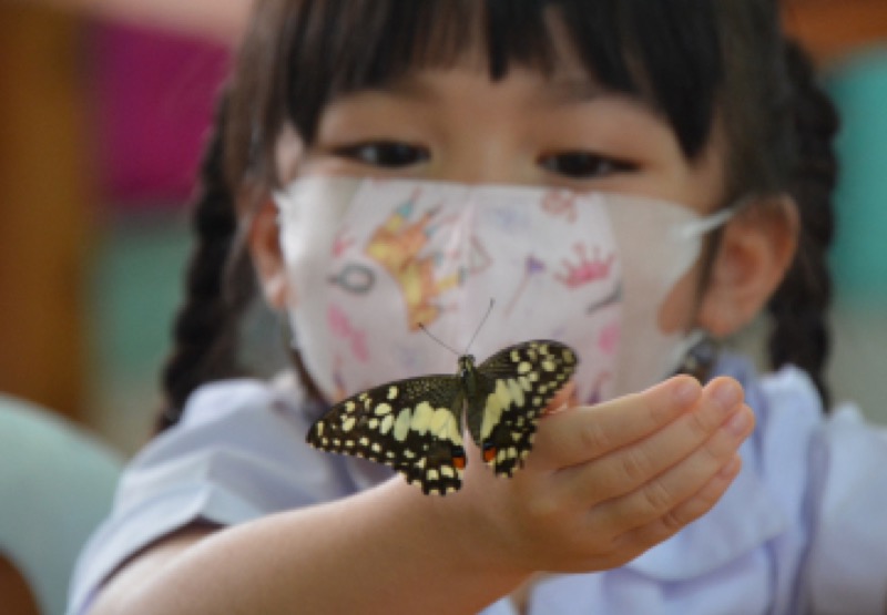 เรียนรู้เรื่องผีเสื้อ จากผีเสื้อของจริง ในห้องเรียนดรุณนิมิตวิทยา